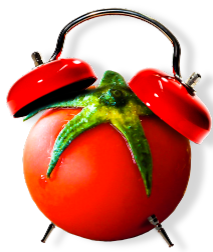 Tomato